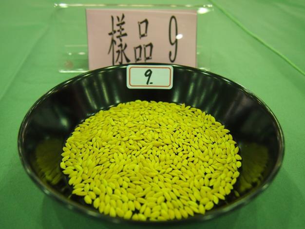 優質好米在竹縣 桃園3號榮獲竹北地區稻米冠軍